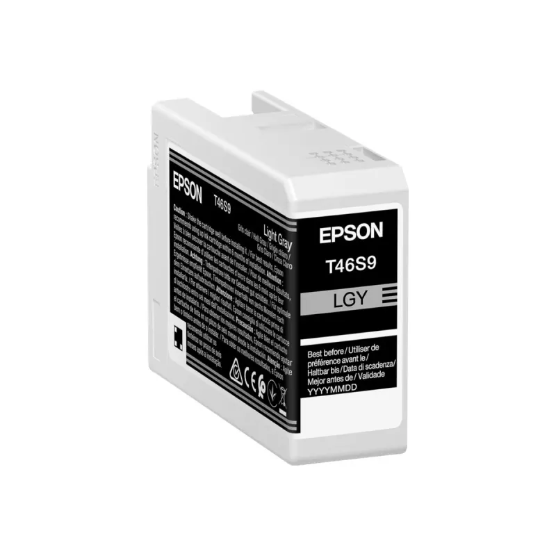 Tintenpatrone Epson UltraChrome Pro 10 T46S9 Hellgrau – Original hellgraues Pigment