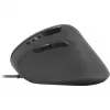 Maus SPEEDLINK PIAVO Office USB Typ-A Optisch 2400 DPI
