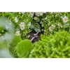 Schlauchhalter Gardena 13218-20 Schwarz Bodenplatzierung