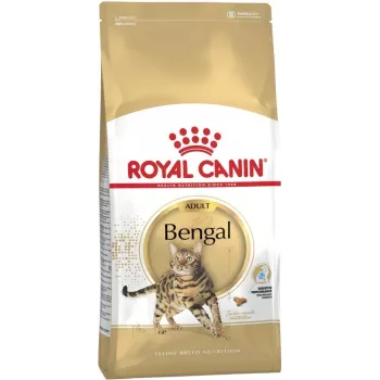 Trockenfutter für Katzen Royal Canin Bengal Adult 10 kg – Huhn, 40% Protein, 18% Fett