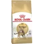 Trockenfutter für Katzen Royal Canin Bengal Adult 10 kg – Huhn, 40% Protein, 18% Fett