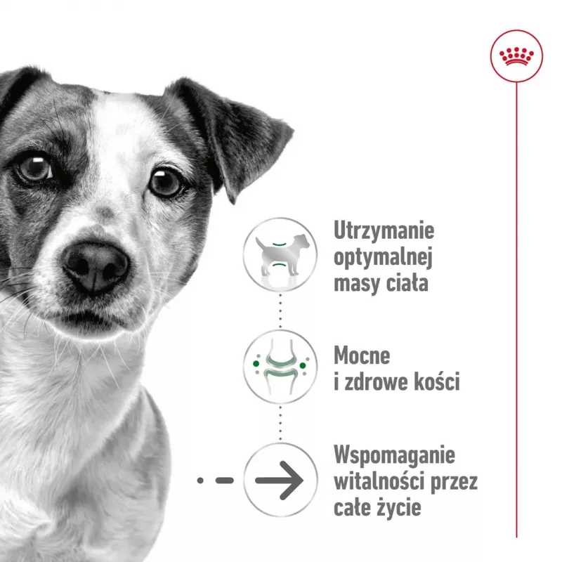 Nassfutter Royal Canin Mini Ageing 12+ Adult 85 g Beutel — kleine Rassen, Geflügel, Senior