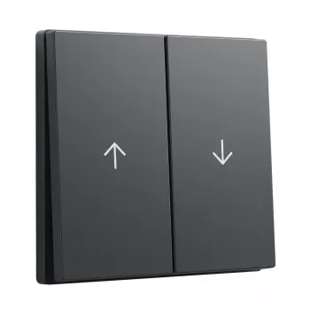 Wippenabdeckung GIRA System 55 Wippe 2f Pfeil anthrazit (Modell 329428)