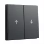 Wippenabdeckung GIRA System 55 Wippe 2f Pfeil anthrazit (Modell 329428)