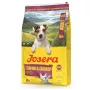 Trockenfutter für Hunde JOSERA Mini Adult Lachs & Huhn 10 kg — Alleinfuttermittel für kleine ausgewachsene Hunde, 26 % Protein, 16 % Fett