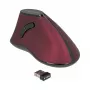 Maus DeLOCK 12528 RF Wireless Optisch 1000 DPI