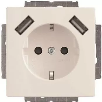 Busch-Jaeger SCHUKO-2x USB Steckdose 20 EUCB2USB-84 (2CKA002011A6273)