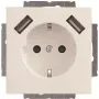 Busch-Jaeger SCHUKO-2x USB Steckdose 20 EUCB2USB-84 (2CKA002011A6273)