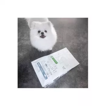 Trockenfutter für Hunde nature’s protection White Dogs GF White Fish Adult Small 4 kg — getreidefrei, Protein 24%, Fett 13%