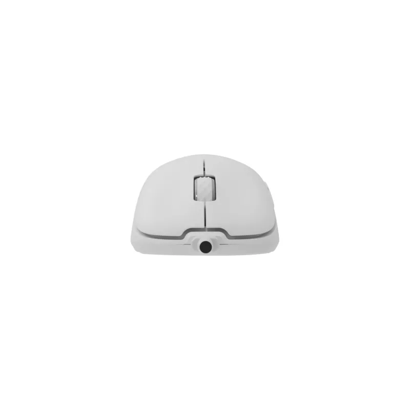 Maus White Shark GM-5014 Graphene Weiß USB