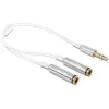 Audiokabel DeLOCK 65355 0,25 m 3,5 mm 2 x 3,5 mm Silber Weiß