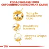 Trockenfutter für Katzen Royal Canin Siamese 2 kg — Ausgewachsene Katzen, Geflügel, Protein 38%, Fett 16%