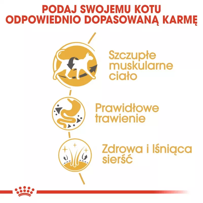Trockenfutter für Katzen Royal Canin Siamese 2 kg — Ausgewachsene Katzen, Geflügel, Protein 38%, Fett 16%