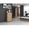 Kommode Topeshop M5 ANTRACYT/ARTISAN 5 Schubladen, Anthrazit Eiche, 700×1095×400 mm