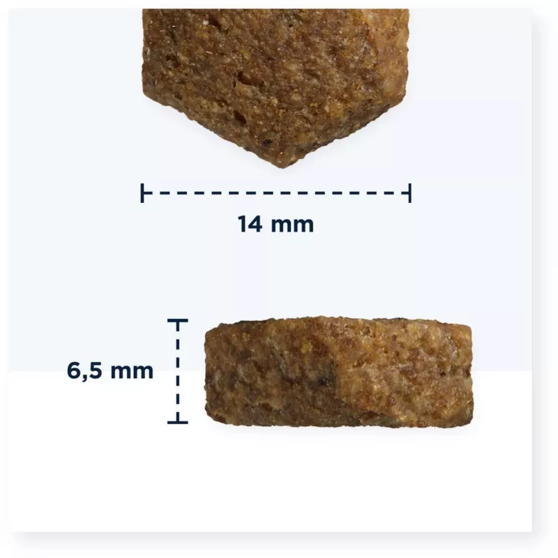 Trockenfutter für Hunde EUKANUBA Breed Specific Cocker Spaniel 7,5 kg — Huhn, Ausgewachsene Hunde, Haut & Fell, Herzunterstützung