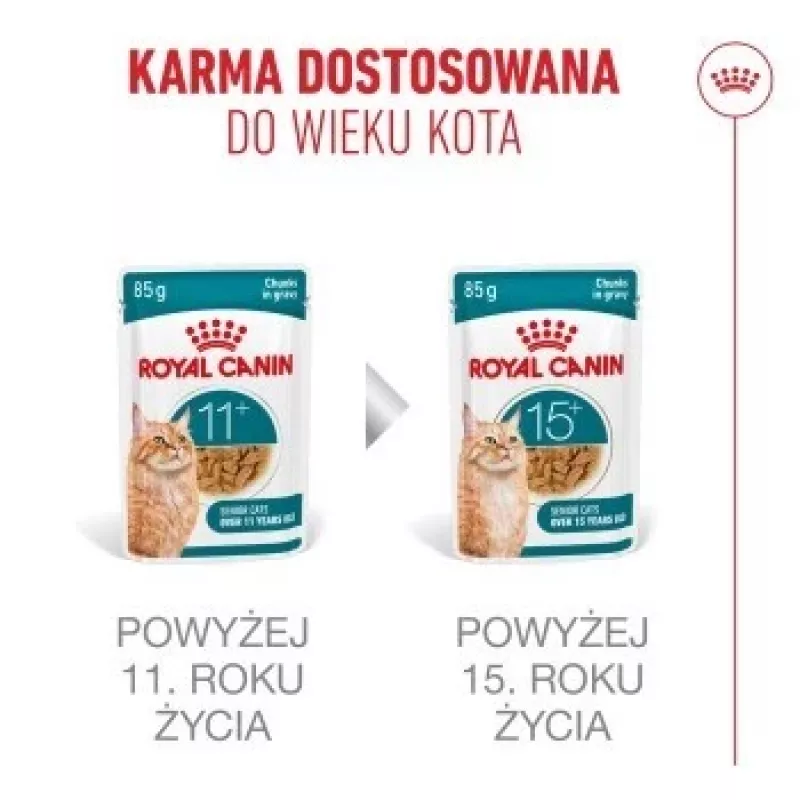 Nassfutter für Katzen Royal Canin FHN Ageing 11+ Gravy 12×85 g – Senior Komplett-Nassfutter in Schalen