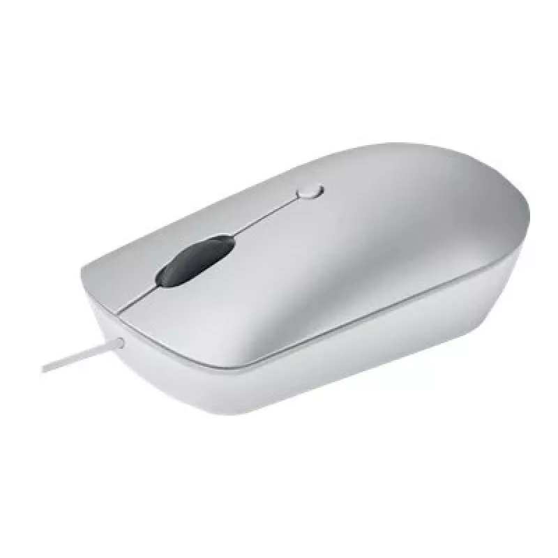 Kabelgebundene optische beidhändige Maus Lenovo 540 USB Typ-C, 3 DPI-Modi, grau, 4 Tasten, 1,8 m Kabel
