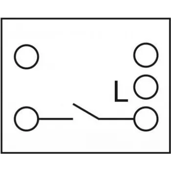 Delock - Easy 45 - Druckschalter - 1 Kippschalter - 10 A - AC 250 V - Weiß, RAL 9003 (81359)