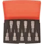 Bahco Schraubendreher-Bitsatz 9-teilig S9TORX (S9TORX)