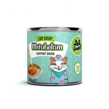 VETEXPERT Mr. Bandit Lachs Stoffwechselunterstützung - Funktionsgetränk für Katze - 95 ml