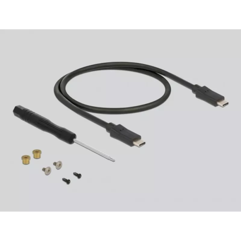 SSD-Gehäuse DeLOCK 42003 Externes Gehäuse für M.2 SATA SSD mit USB Type-C
