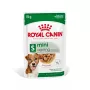 Nassfutter Royal Canin Mini Ageing 12+ Adult 85 g Beutel — kleine Rassen, Geflügel, Senior