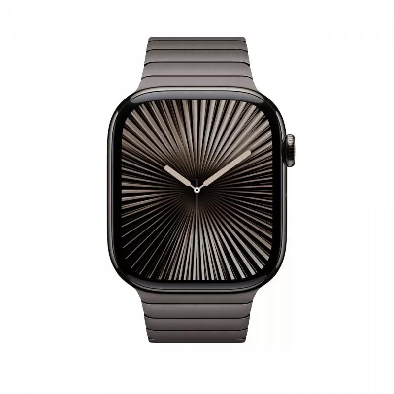 Band Apple 46mm Slate Link Bracelet Grau Smartwatch