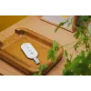 Controller für Smart Alarm Hub
