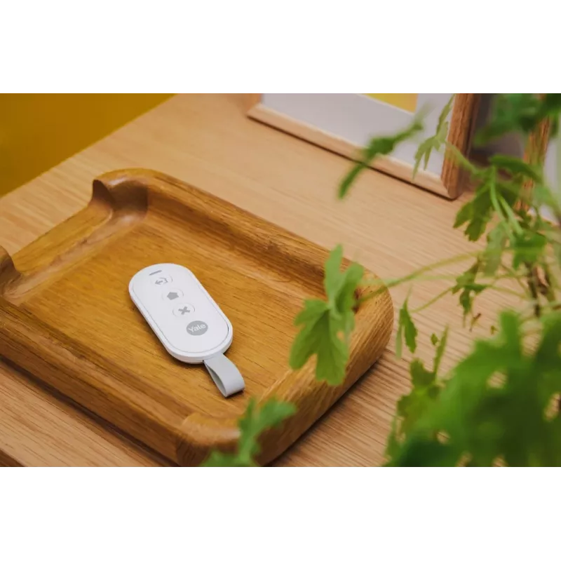 Controller für Smart Alarm Hub
