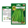 Nomad Green Dwarf Bohnensamen, 50g - Gemüsesamen