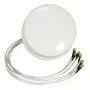 ALLNET-Antenne 2,4/5 GHz 4 dBi DualBand Spatial Diversity MIMO Deckenantenne HG2458-4SDC-RSP