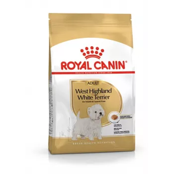 Royal Canin BHN West Highland Weiß Terrier Adult - Trockenfutter für ausgewachsene Hunde - 3 kg