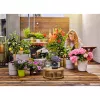 Gardena AquaBloom Schlauch 20m Schwarz 13301-20