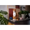 LEGO IDEAS 21376 Orange Cat