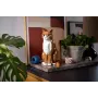 LEGO IDEAS 21376 Orange Cat