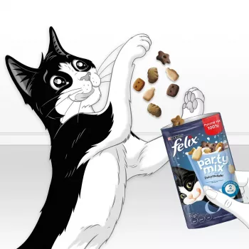 Katzenleckerli Felix Party Mix Dairy Delight 60 g — knusprige Snacks mit Milchgeschmack für ausgewachsene Katzen, Protein 35%, Fett 19,5%