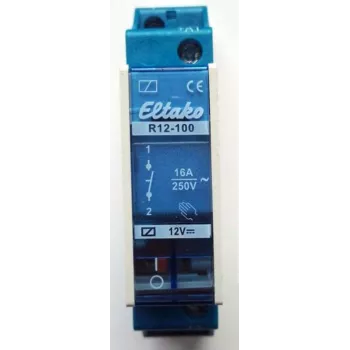 Schaltrelais R12-100-12V DC (22100054)