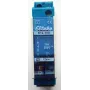 Schaltrelais R12-100-12V DC (22100054)