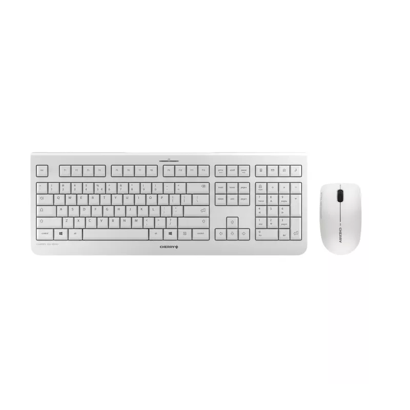 CHERRY DW 3000 Tastatur Maus enthalten Universal RF Wireless QWERTZ Deutsch Grau