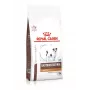Trockenfutter für Hunde Royal Canin Gastrointestinal Low Fat Small 3,5 kg — Diätfutter für kleine ausgewachsene Hunde, fettarm 7 %, Protein 22 %
