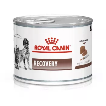 Nassfutter für Rekonvaleszenz Royal Canin Recovery Adult 195 g — Geflügel, 73 % Feuchtigkeit, 12,7 % Protein