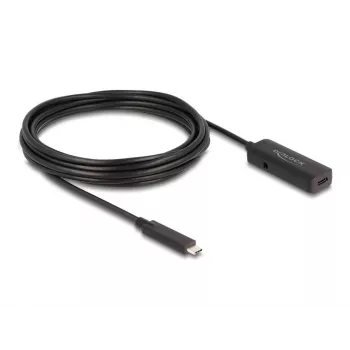 USB-Kabel DeLOCK 80028 5 m USB-C Schwarz