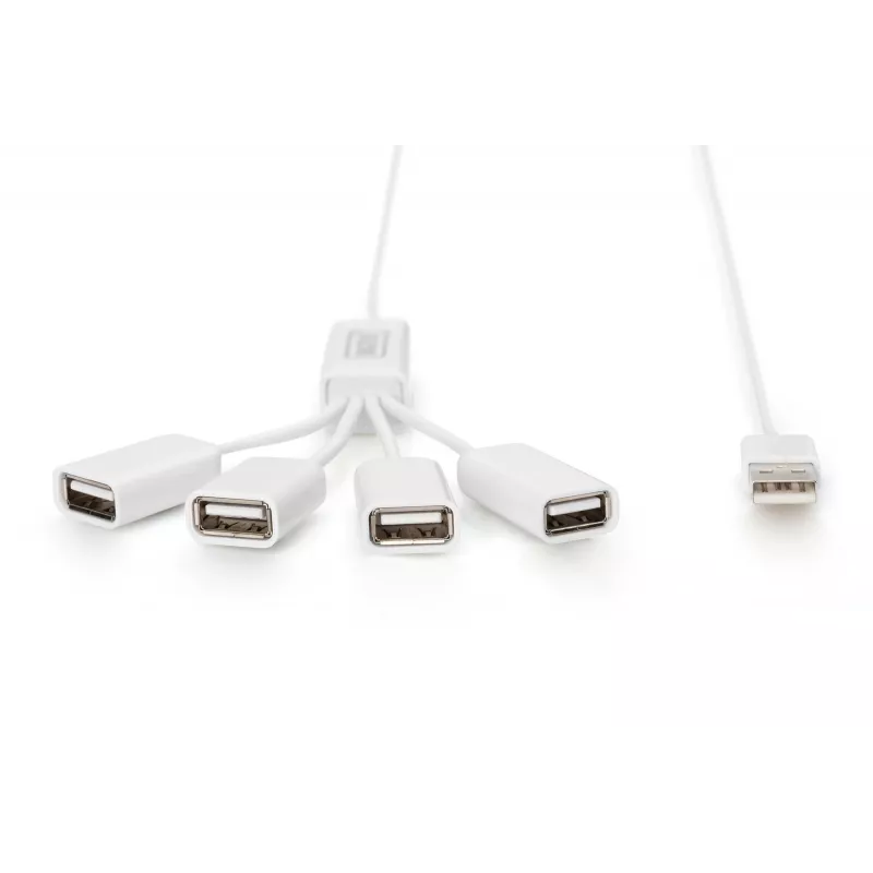 Delock USB-Adapter - USB Typ A (W) zu 24 pin USB-C (M)