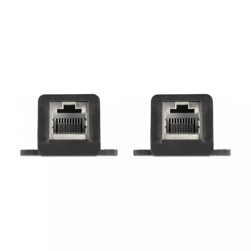 DeLOCK RJ45 FPC Fensterdurchführung 30 cm 87031