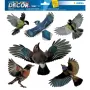 Dekorativer Aufkleber HERMA 15539 Folie Mehrfarbig Abziehbar Vogel