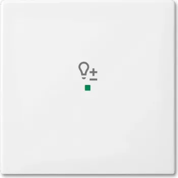 Busch-Jaeger 2CKA006220A0359 Abdeckplatte für Sensorhalter & -Buchse Weiß (2CKA006220A0359)