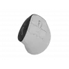 Kabellose Vertikalmaus NATEC Euphoniе Pro Bluetooth 5.0, 4000 DPI, programmierbar, leise, weiß