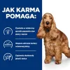HILL's Prescription Diet Food Sensitivites z/d - Trockenhundefutter - 10 kg