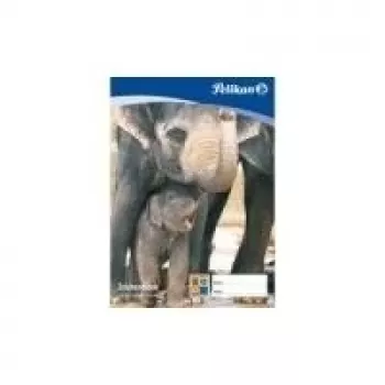 Pelikan Zeichenblock C 2-10, DIN A2, 100 g/qm, 10 Blatt chlorfrei gebleicht, perforiert (137604)