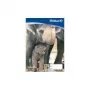 Pelikan Zeichenblock C 2-10, DIN A2, 100 g/qm, 10 Blatt chlorfrei gebleicht, perforiert (137604)